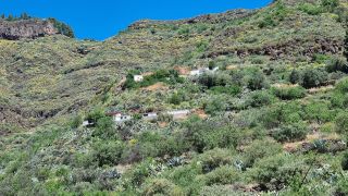 2023-04-GranCan-Guayadeque-053.jpg